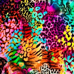 Fleo Miami Heat NFS CrossFit Games Vibrant Multicolor Women's Shorts LIMITED RUN